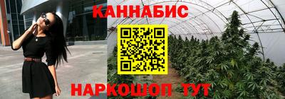 гашик Бузулук