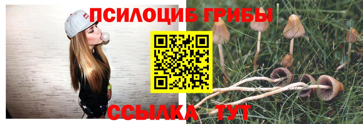 Псилоцибиновые грибы мухоморы  Галлюциногенные грибы прущие грибы  Новый Уренгой  Вход с VPN 
